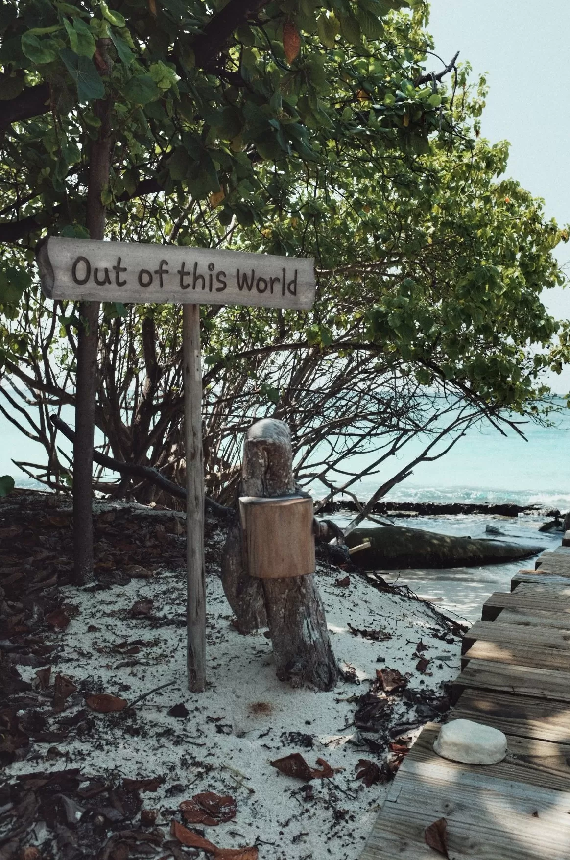 首席体验官|索尼娃秘密 Soneva Secret,奢华与自然的终极表达-第34张图片- 首席体验官|索尼娃秘密 Soneva Secret,奢华与自然的终极表达-第34张图片-