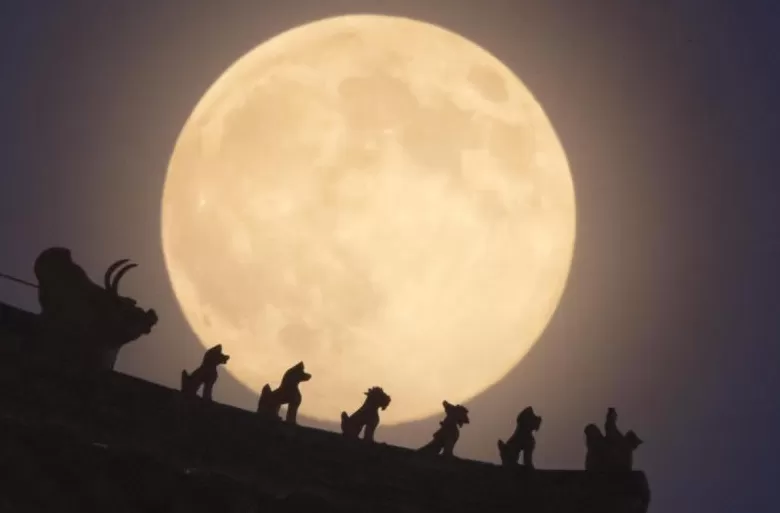 城事|超惊艳!全球美图:35.7万公里外“超级月亮”-第7张图片- 城事|超惊艳!全球美图:35.7万公里外“超级月亮”-第7张图片-