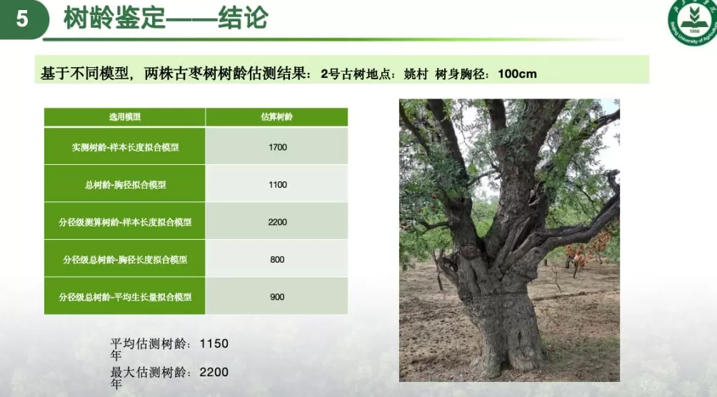 科技赋能,农文旅融合,后稷故里山西稷山县推动板枣产业升级发展-第3张图片- 科技赋能,农文旅融合,后稷故里山西稷山县推动板枣产业升级发展-第3张图片-