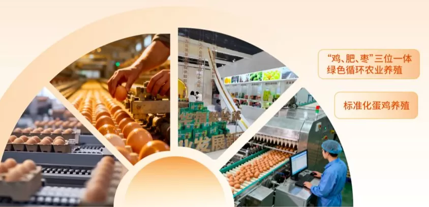 科技赋能,农文旅融合,后稷故里山西稷山县推动板枣产业升级发展-第5张图片- 科技赋能,农文旅融合,后稷故里山西稷山县推动板枣产业升级发展-第5张图片-