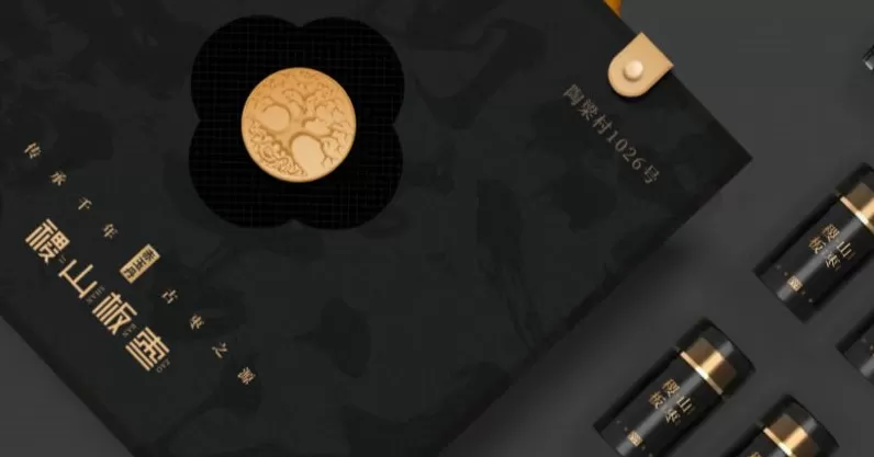 科技赋能,农文旅融合,后稷故里山西稷山县推动板枣产业升级发展-第6张图片- 科技赋能,农文旅融合,后稷故里山西稷山县推动板枣产业升级发展-第6张图片-