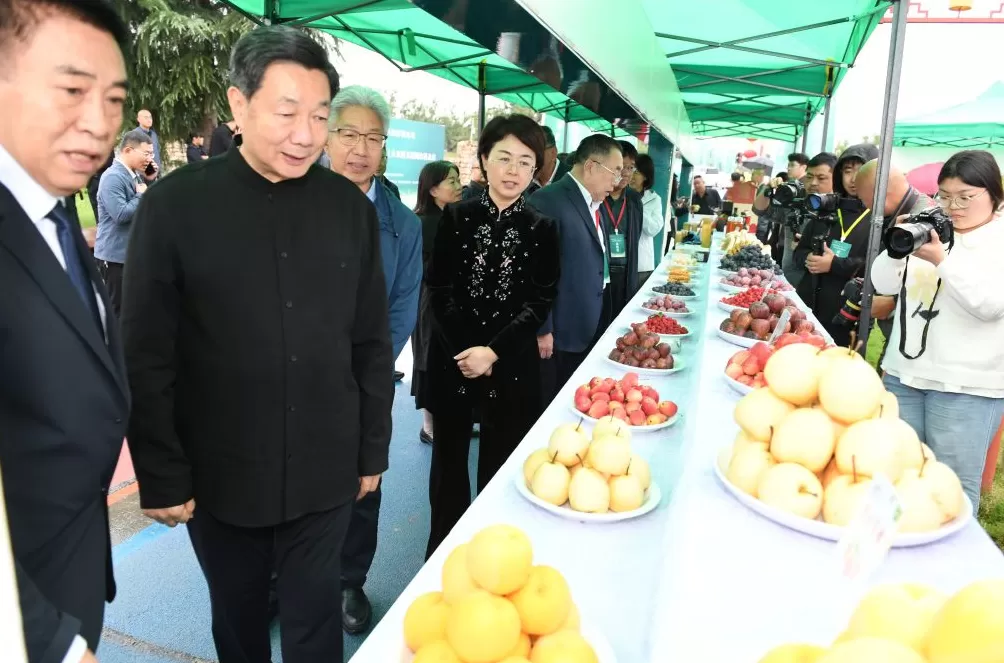 科技赋能,农文旅融合,后稷故里山西稷山县推动板枣产业升级发展-第9张图片- 科技赋能,农文旅融合,后稷故里山西稷山县推动板枣产业升级发展-第9张图片-