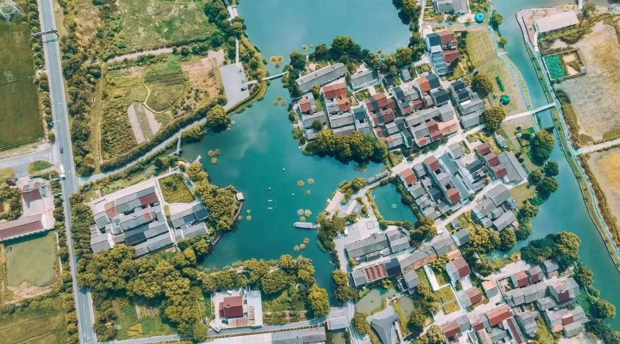 “青鸟”栖乡野——湖州青年入乡观察-第3张图片- “青鸟”栖乡野——湖州青年入乡观察-第3张图片-