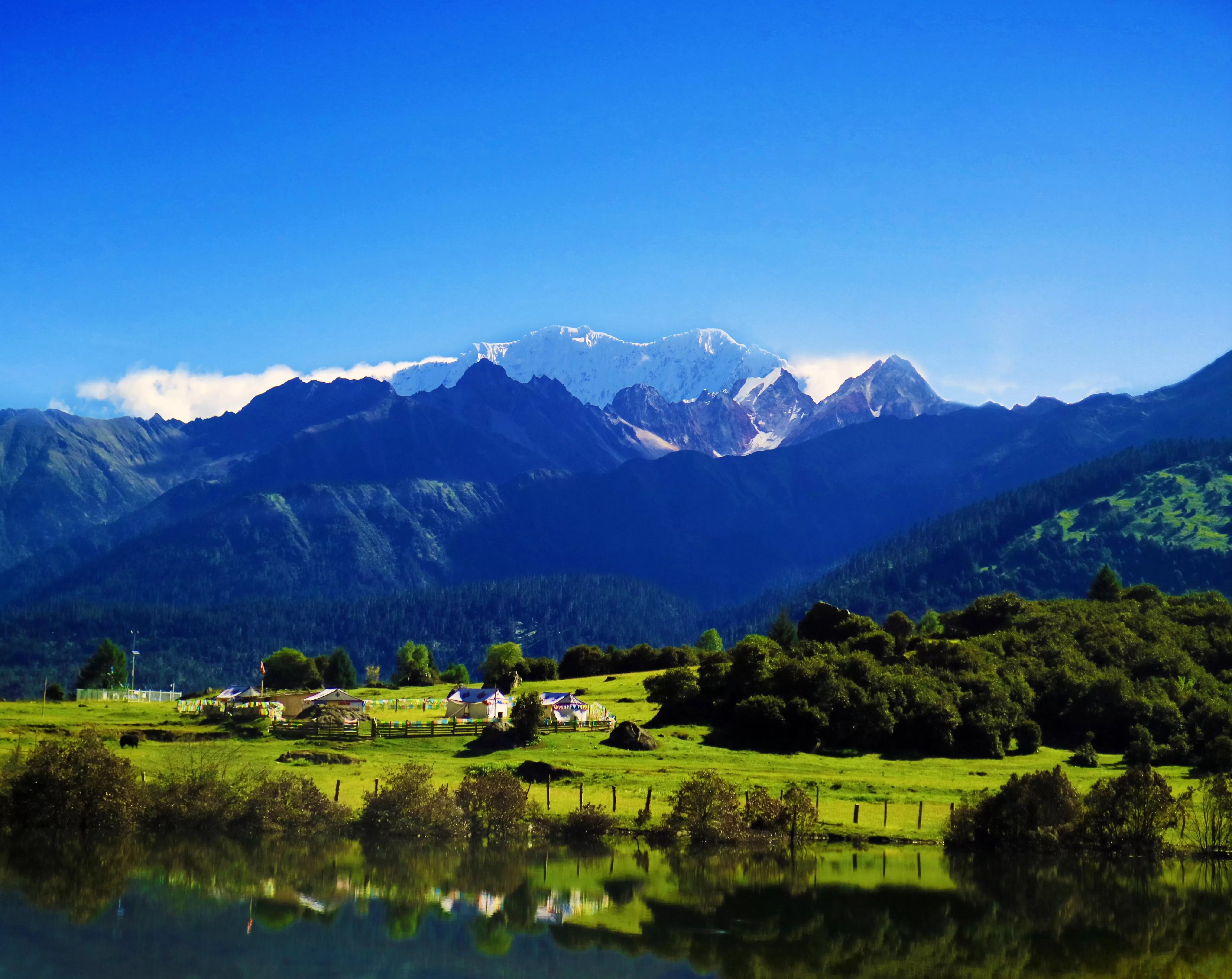 科研成为增长引擎，自然堂的双十一样本-第1张图片-