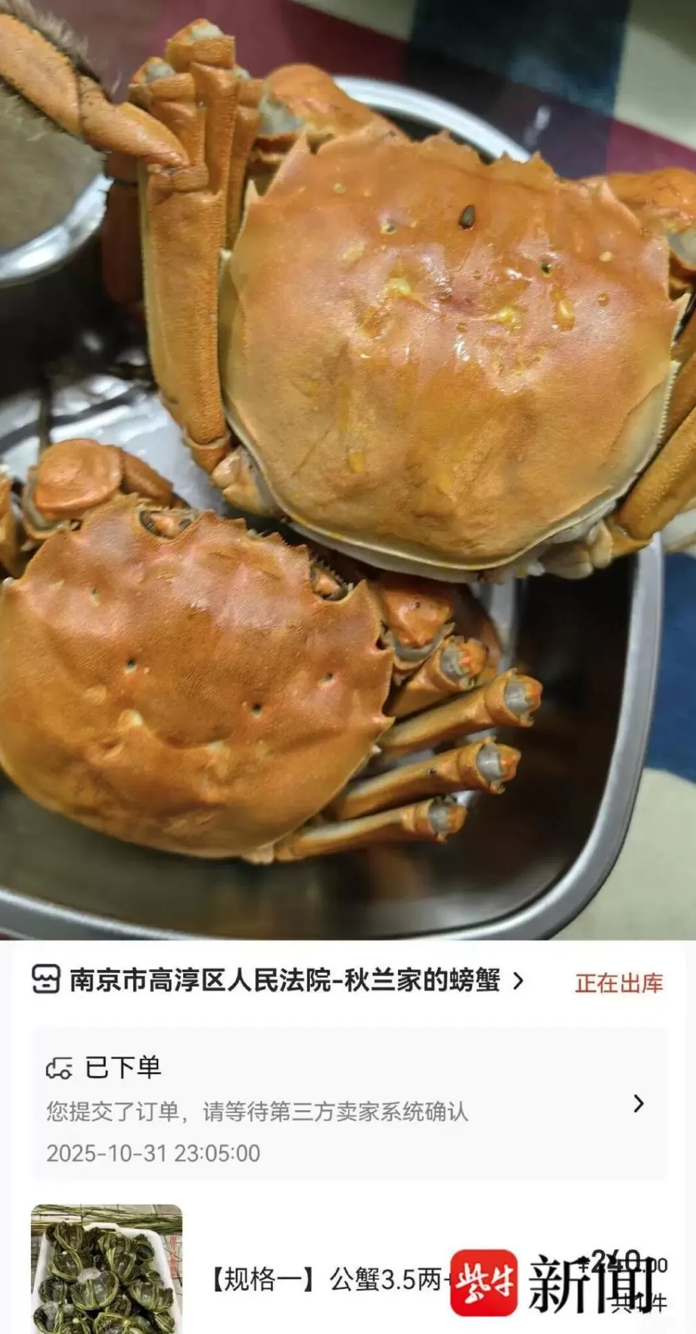 南京法院直播卖的螃蟹到货了,上海市民晒单“母蟹黄蛮多”-第1张图片- 南京法院直播卖的螃蟹到货了,上海市民晒单“母蟹黄蛮多”-第1张图片-