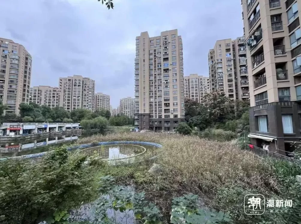 杭州一小区物业退出不干了,称业主拖欠物业费1200多万元-第1张图片- 杭州一小区物业退出不干了,称业主拖欠物业费1200多万元-第1张图片-