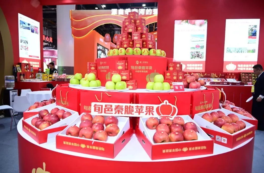 旬邑秦脆苹果亮相第十八届亚洲果蔬产业博览会暨第三届苹果产业博览会-第4张图片- 旬邑秦脆苹果亮相第十八届亚洲果蔬产业博览会暨第三届苹果产业博览会-第4张图片-