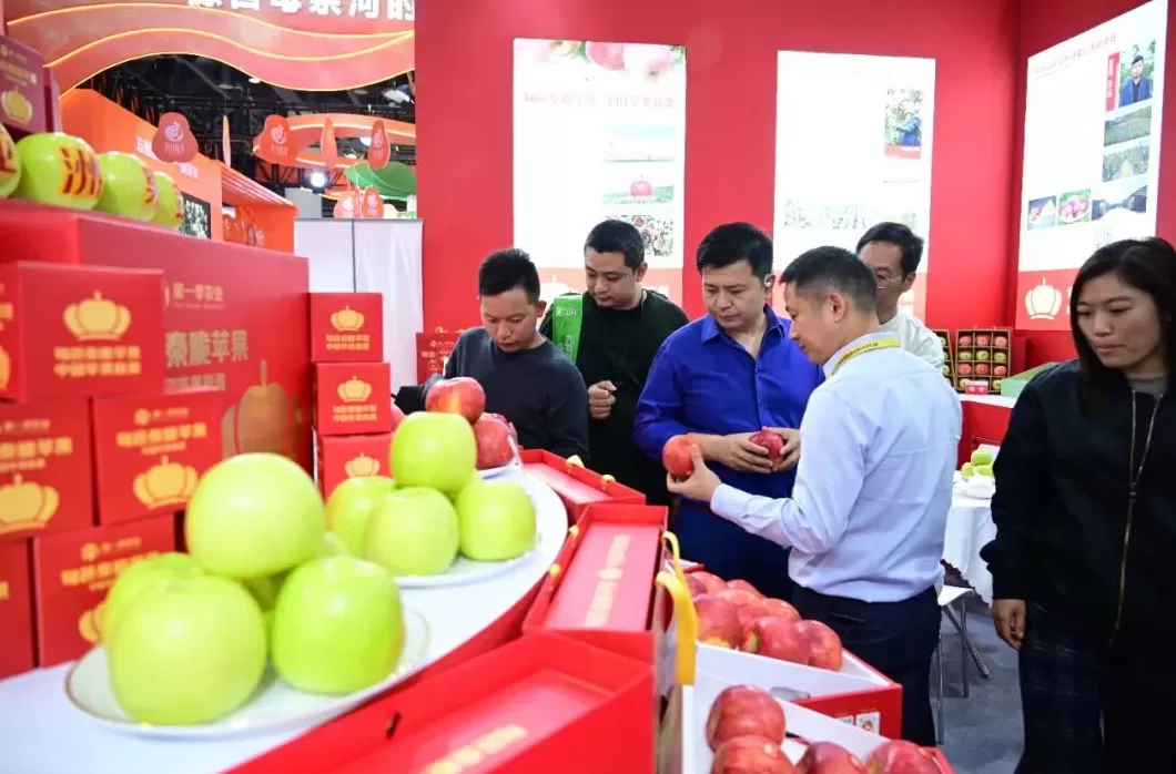 旬邑秦脆苹果亮相第十八届亚洲果蔬产业博览会暨第三届苹果产业博览会-第6张图片- 旬邑秦脆苹果亮相第十八届亚洲果蔬产业博览会暨第三届苹果产业博览会-第6张图片-