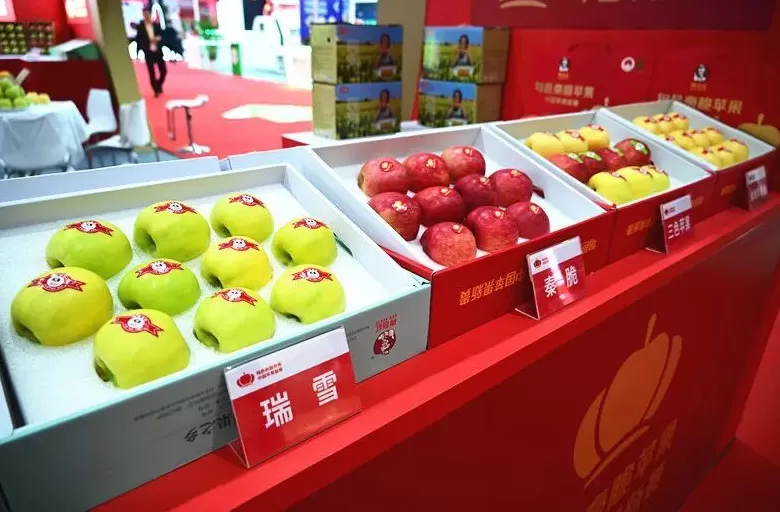 旬邑秦脆苹果亮相第十八届亚洲果蔬产业博览会暨第三届苹果产业博览会-第8张图片- 旬邑秦脆苹果亮相第十八届亚洲果蔬产业博览会暨第三届苹果产业博览会-第8张图片-