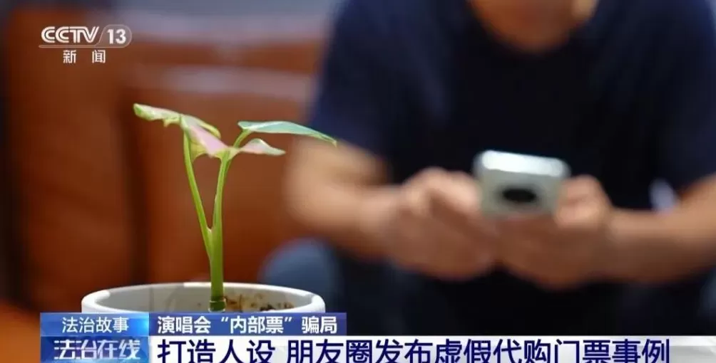 演唱会“内部票”让138万元打水漂?骗局曝光→-第4张图片- 演唱会“内部票”让138万元打水漂?骗局曝光→-第4张图片-