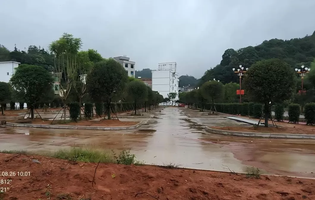 云南通报违法违规占用耕地典型:云南能投威信能源违法占基本农田被通报-第15张图片- 云南通报违法违规占用耕地典型:云南能投威信能源违法占基本农田被通报-第15张图片-