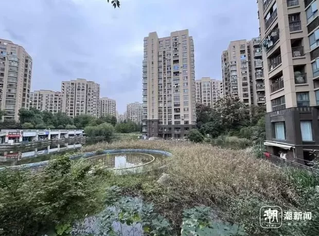 杭州一小区物业退出不干了:业主拖欠物业费1200万元-第1张图片- 杭州一小区物业退出不干了:业主拖欠物业费1200万元-第1张图片-