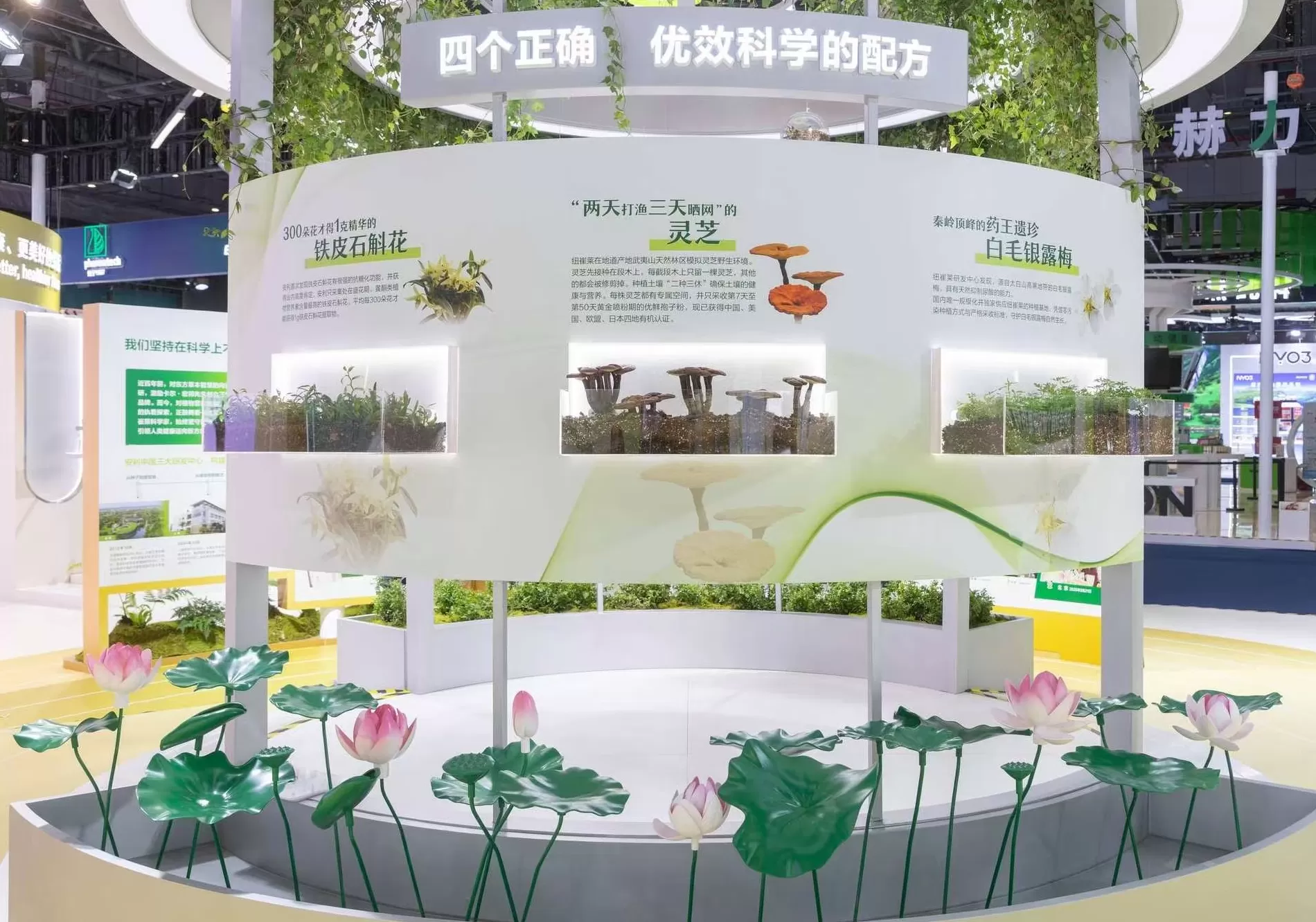 安利赴约2025 进博会:加码中国市场,领航健康未来-第2张图片- 安利赴约2025 进博会:加码中国市场,领航健康未来-第2张图片-