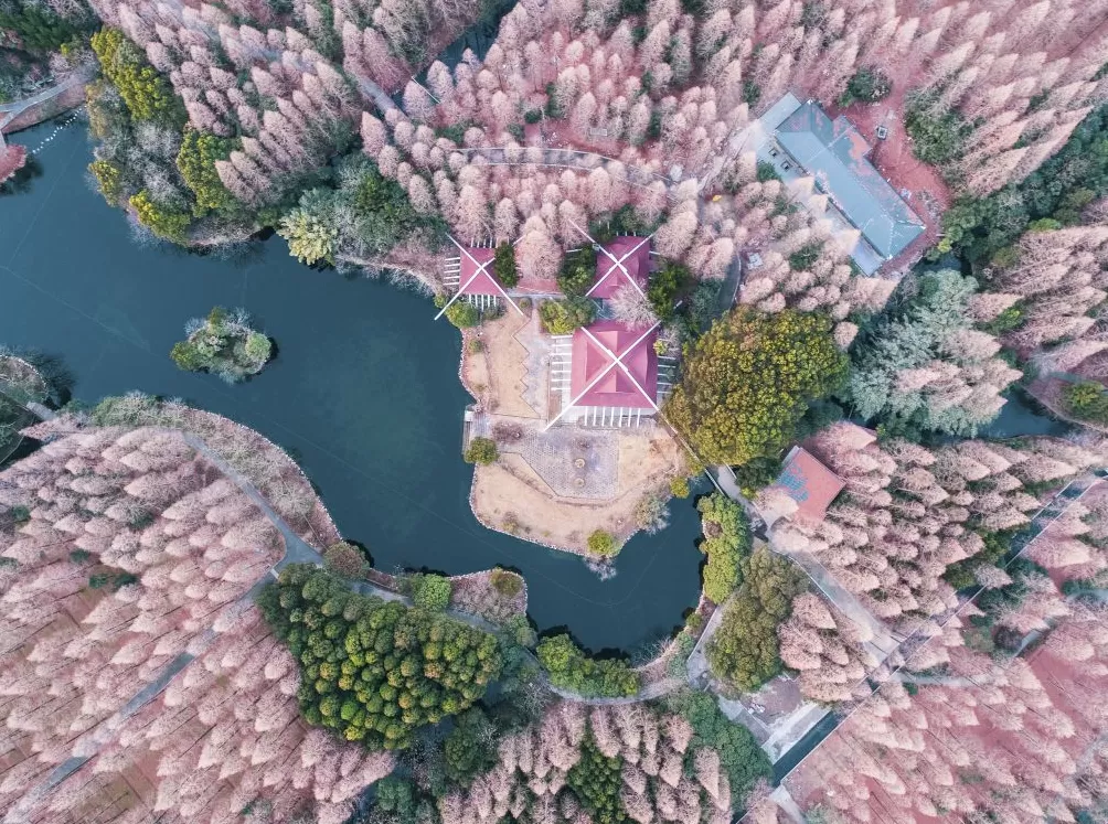 “宝藏城市”的IP之道:突围、爆红、长红-第1张图片- “宝藏城市”的IP之道:突围、爆红、长红-第1张图片-