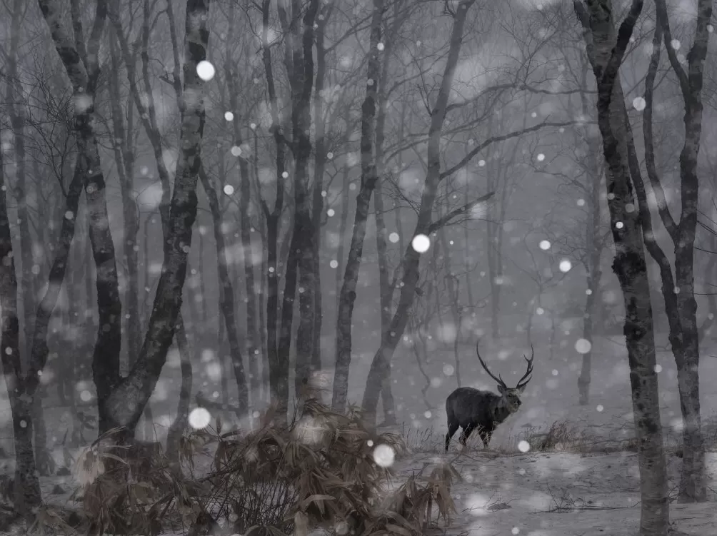 走进商圈,2025第十五届上海市摄影艺术展览开幕-第5张图片- 走进商圈,2025第十五届上海市摄影艺术展览开幕-第5张图片-