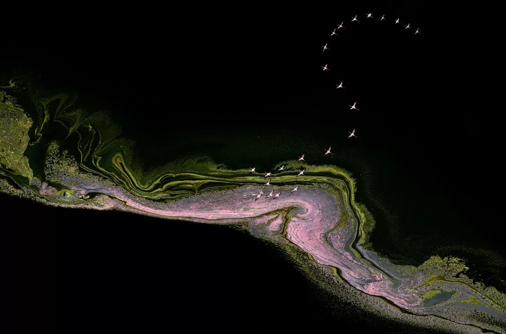 走进商圈,2025第十五届上海市摄影艺术展览开幕-第4张图片- 走进商圈,2025第十五届上海市摄影艺术展览开幕-第4张图片-