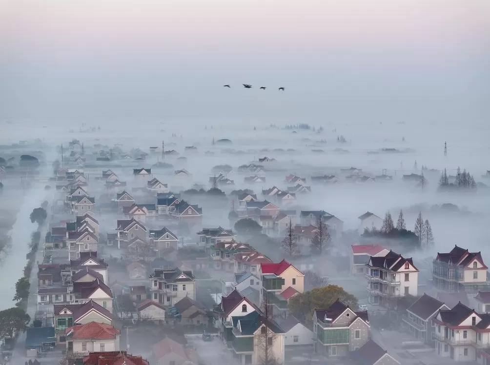 走进商圈,2025第十五届上海市摄影艺术展览开幕-第7张图片- 走进商圈,2025第十五届上海市摄影艺术展览开幕-第7张图片-