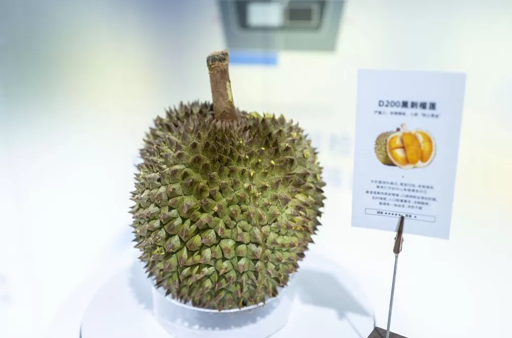 进博直击|美食博览,一场从全球农场到中国餐桌的舌尖旅行-第4张图片- 进博直击|美食博览,一场从全球农场到中国餐桌的舌尖旅行-第4张图片-