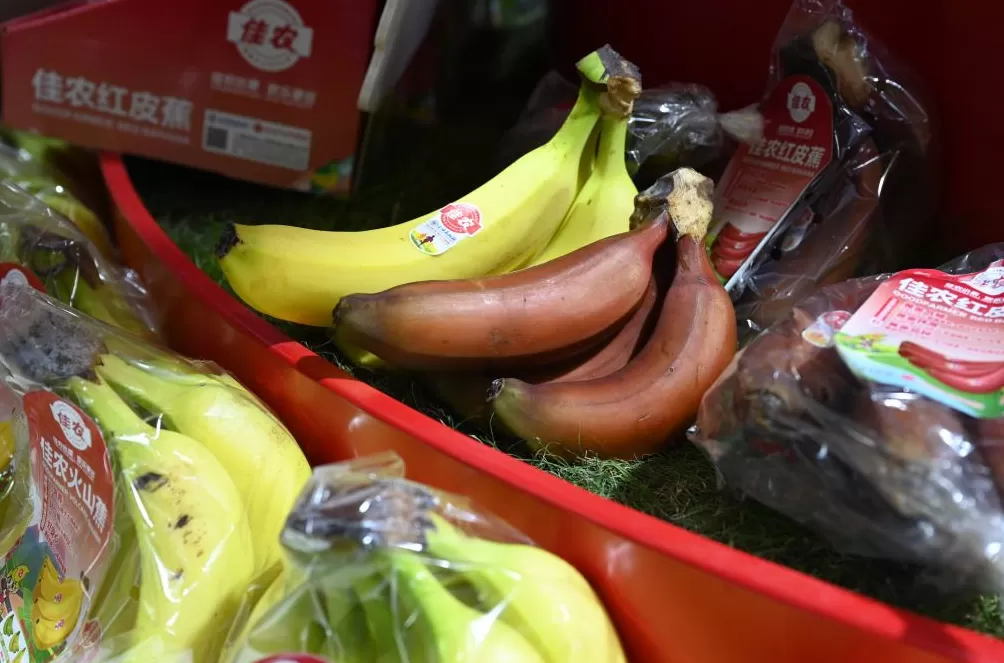 进博直击|美食博览,一场从全球农场到中国餐桌的舌尖旅行-第6张图片- 进博直击|美食博览,一场从全球农场到中国餐桌的舌尖旅行-第6张图片-