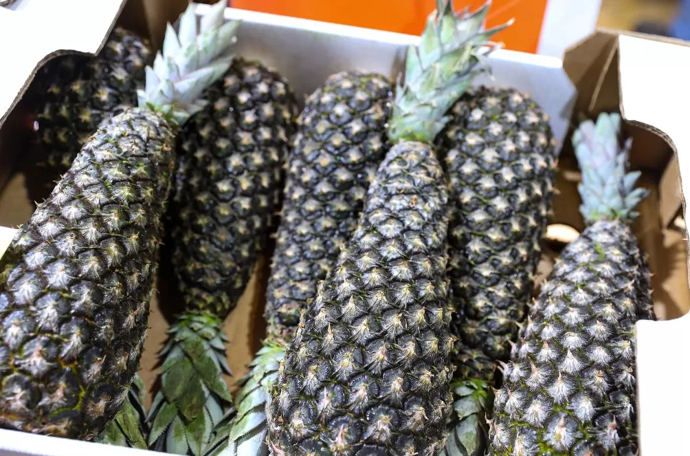 进博直击|美食博览,一场从全球农场到中国餐桌的舌尖旅行-第17张图片- 进博直击|美食博览,一场从全球农场到中国餐桌的舌尖旅行-第17张图片-