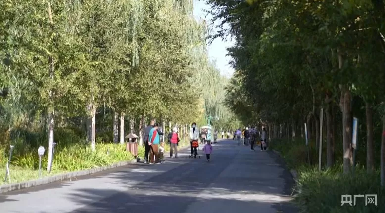 【人民城市·温情中国】边疆“绣”绿洲文“润”细无声-第1张图片- 【人民城市·温情中国】边疆“绣”绿洲文“润”细无声-第1张图片-