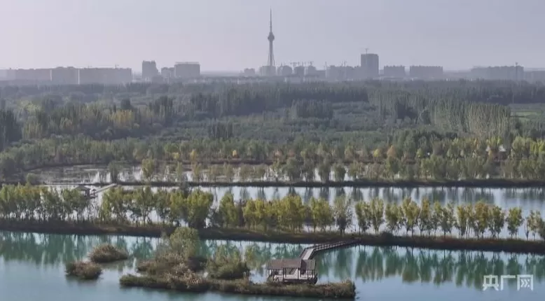 【人民城市·温情中国】边疆“绣”绿洲文“润”细无声-第2张图片- 【人民城市·温情中国】边疆“绣”绿洲文“润”细无声-第2张图片-