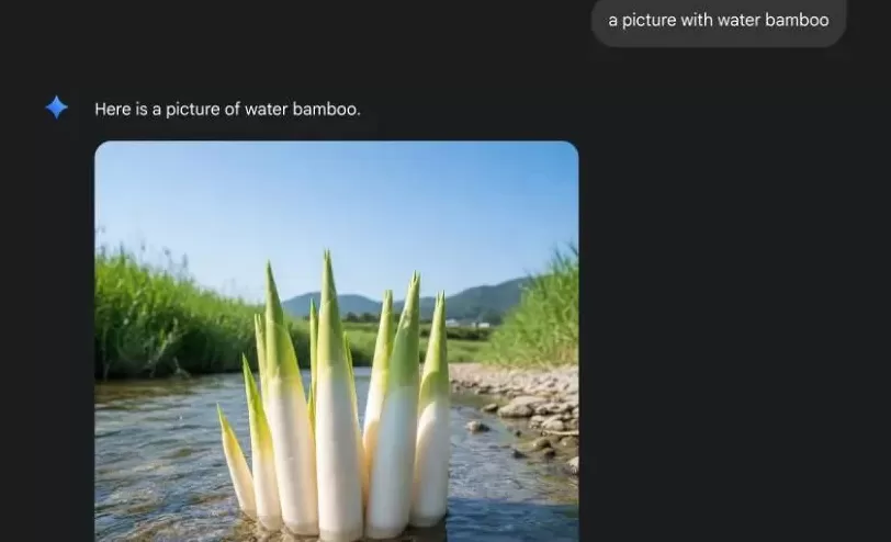 激怒山姆用户的,不止AI商品图-第4张图片- 激怒山姆用户的,不止AI商品图-第4张图片-