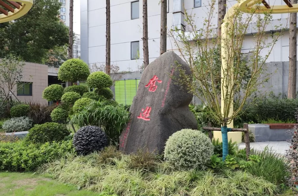 传统体校的升级与挑战:人才输送和育人的并举前进-第2张图片- 传统体校的升级与挑战:人才输送和育人的并举前进-第2张图片-