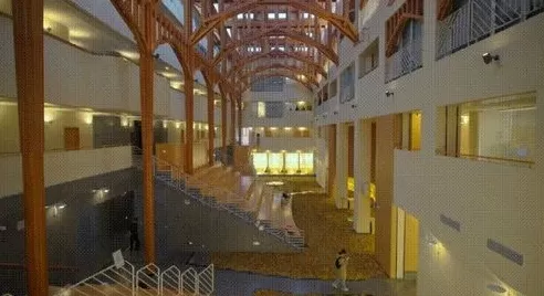 复兴公园“雨滴长廊”有后续:公园落叶已铺在上海交大这栋楼-第3张图片- 复兴公园“雨滴长廊”有后续:公园落叶已铺在上海交大这栋楼-第3张图片-