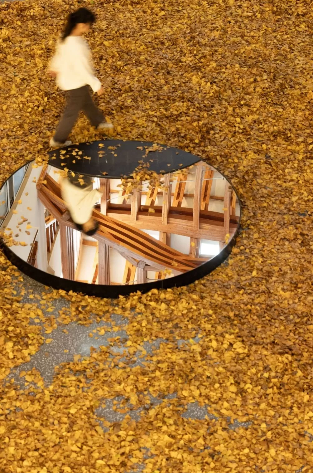 复兴公园“雨滴长廊”有后续:公园落叶已铺在上海交大这栋楼-第4张图片- 复兴公园“雨滴长廊”有后续:公园落叶已铺在上海交大这栋楼-第4张图片-