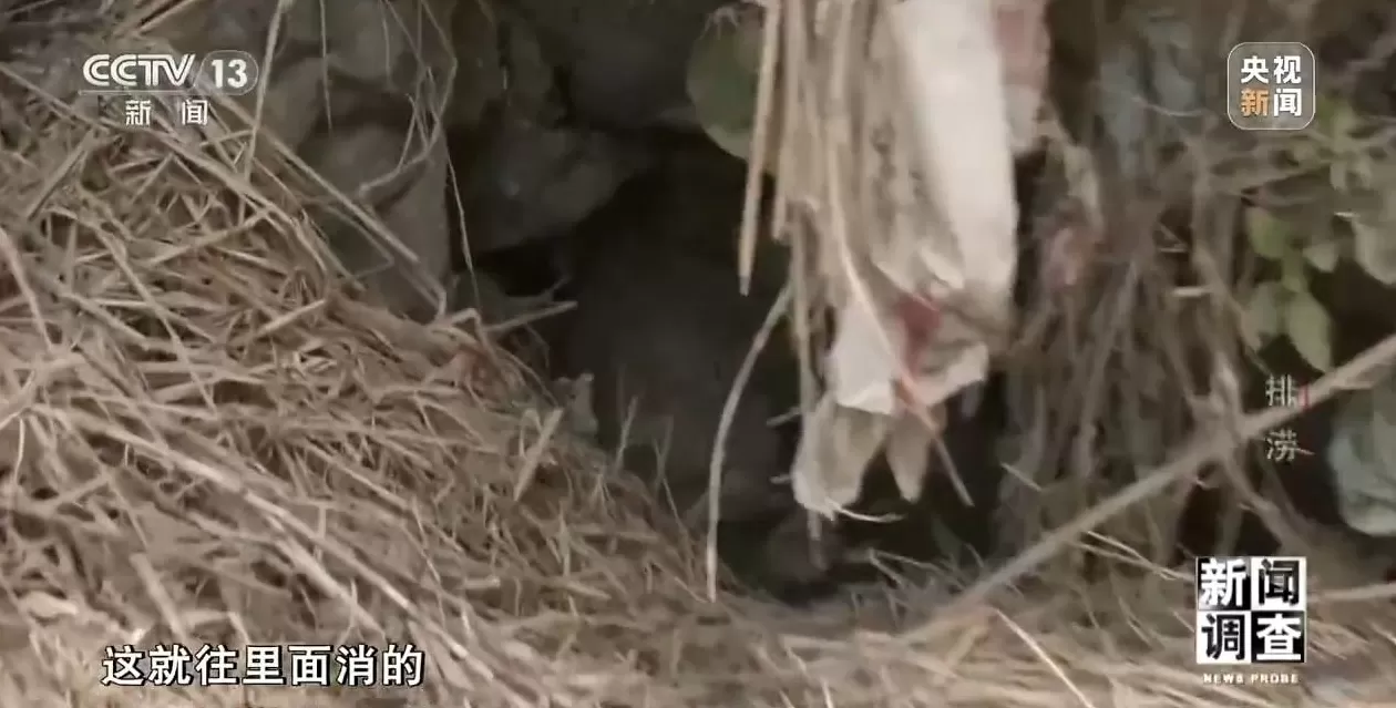 新闻调查丨广西百色排涝情况如何?记者探访受灾村屯-第7张图片- 新闻调查丨广西百色排涝情况如何?记者探访受灾村屯-第7张图片-