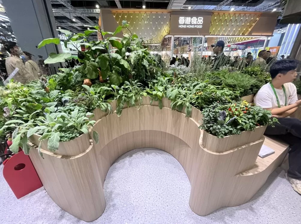 何为进博｜消费新图景，正从四叶草“溢出”-第3张图片-