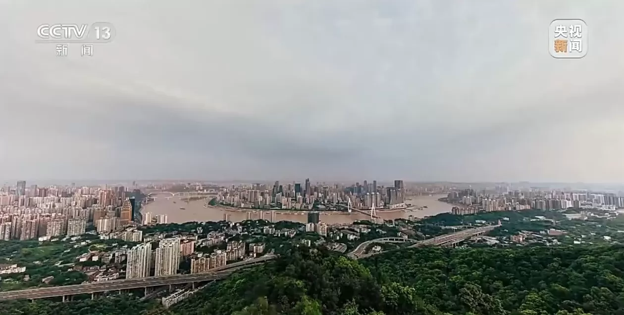 视频丨“台独”绝路难逃法网!央媒起底沈伯洋-第2张图片- 视频丨“台独”绝路难逃法网!央媒起底沈伯洋-第2张图片-