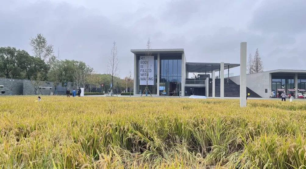 稻田边的上海双年展,与土地、光影的一次共振-第1张图片- 稻田边的上海双年展,与土地、光影的一次共振-第1张图片-