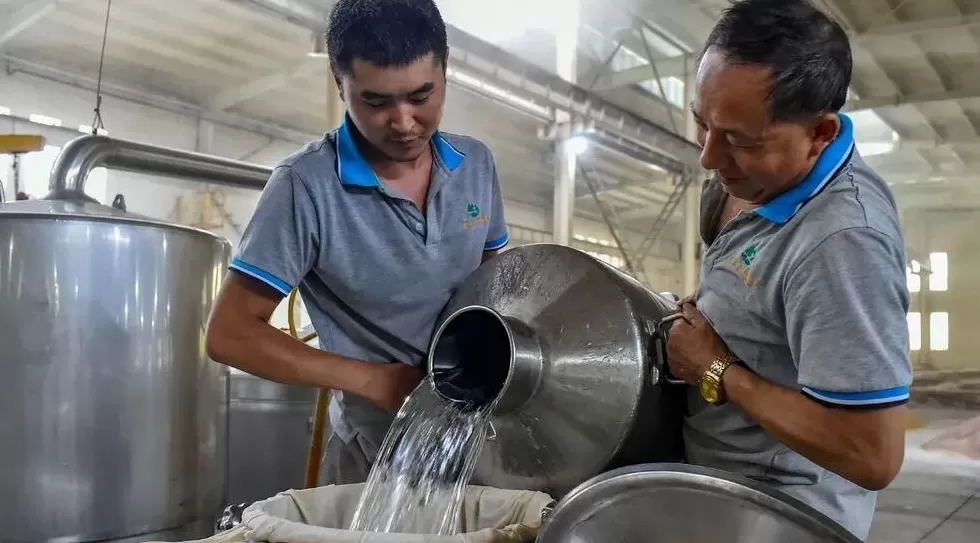 中国人集体戒酒-第1张图片- 中国人集体戒酒-第1张图片-