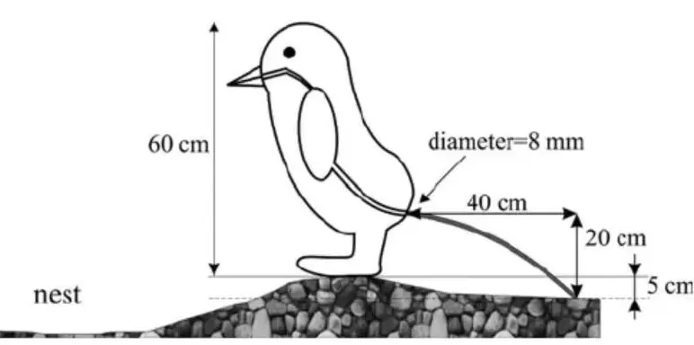最近爆火的“高雅人士”企鹅表情包，究竟什么来头？-第3张图片-