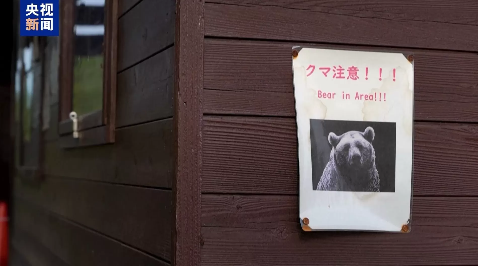 日本再发生熊伤人事件,3人受伤-第1张图片- 日本再发生熊伤人事件,3人受伤-第1张图片-