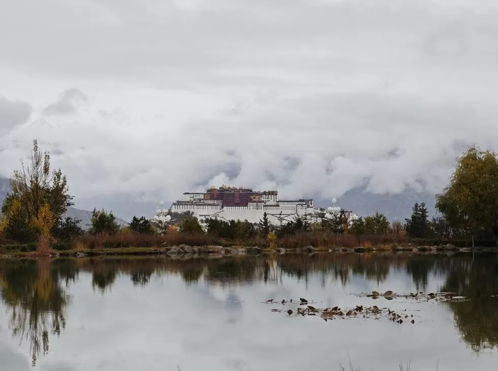 在生态脆弱的高原栽植苗木1.2亿株,西藏做对了什么?-第1张图片- 在生态脆弱的高原栽植苗木1.2亿株,西藏做对了什么?-第1张图片-