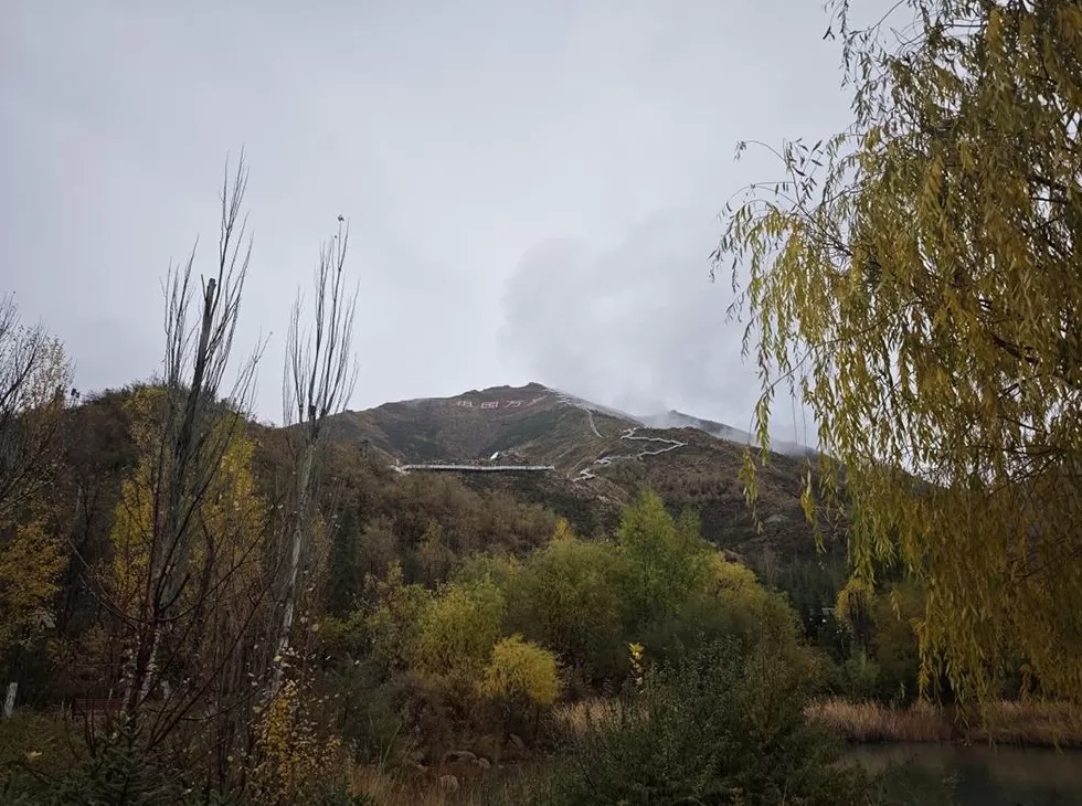 在生态脆弱的高原栽植苗木1.2亿株,西藏做对了什么?-第2张图片- 在生态脆弱的高原栽植苗木1.2亿株,西藏做对了什么?-第2张图片-