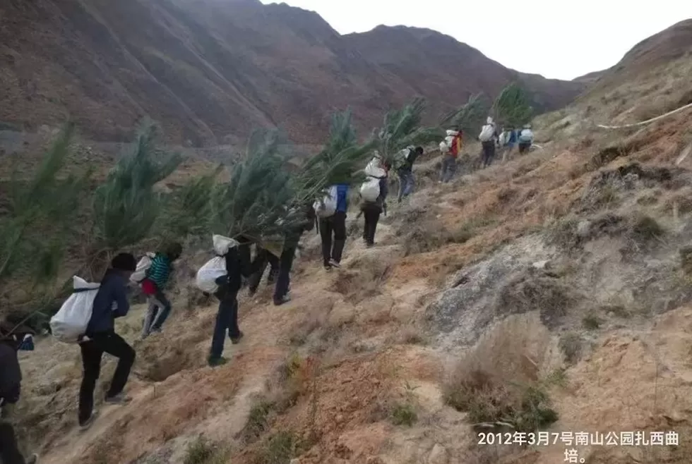 在生态脆弱的高原栽植苗木1.2亿株,西藏做对了什么?-第3张图片- 在生态脆弱的高原栽植苗木1.2亿株,西藏做对了什么?-第3张图片-