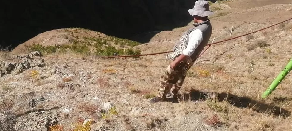 在生态脆弱的高原栽植苗木1.2亿株,西藏做对了什么?-第5张图片- 在生态脆弱的高原栽植苗木1.2亿株,西藏做对了什么?-第5张图片-