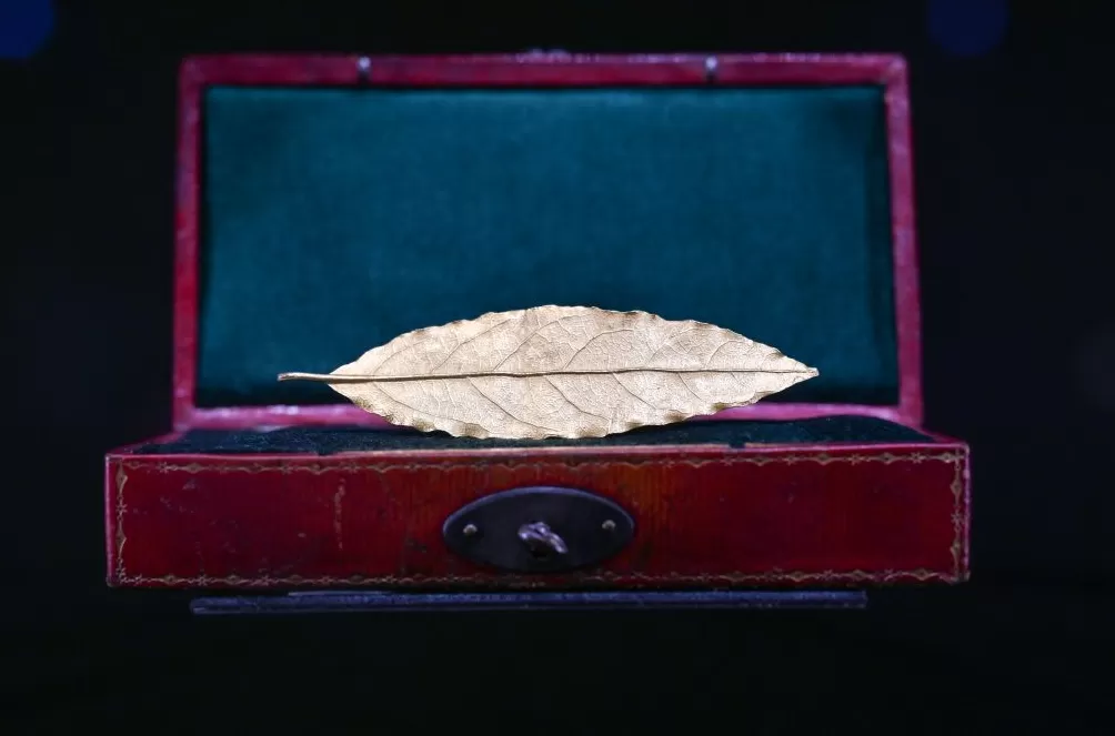 进博直击|做做运动逛逛街,消费品展区商品琳琅满目又新又酷-第7张图片- 进博直击|做做运动逛逛街,消费品展区商品琳琅满目又新又酷-第7张图片-