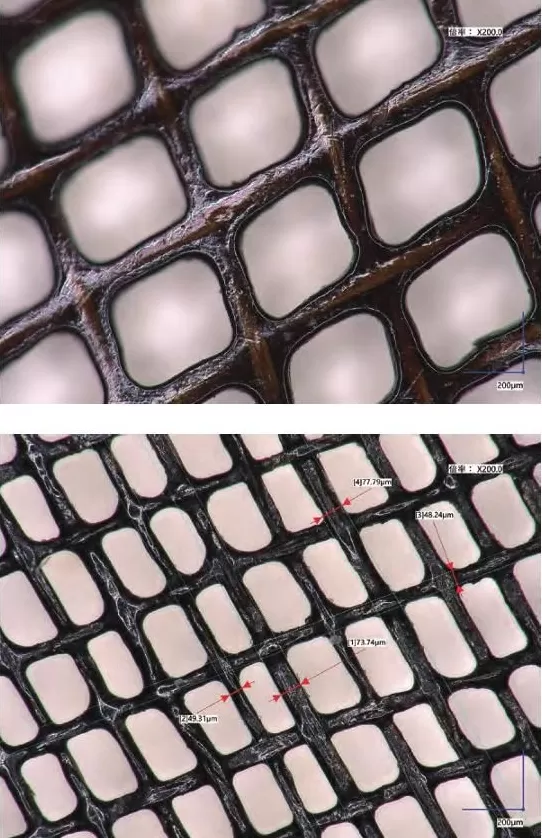 海昏侯墓首次发现秦汉时期全本《诗经》-第3张图片- 海昏侯墓首次发现秦汉时期全本《诗经》-第3张图片-