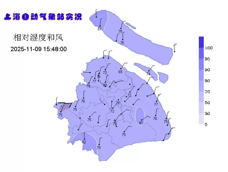 下周上海最高19℃,郊区最低气温或跌至个位数-第3张图片- 下周上海最高19℃,郊区最低气温或跌至个位数-第3张图片-