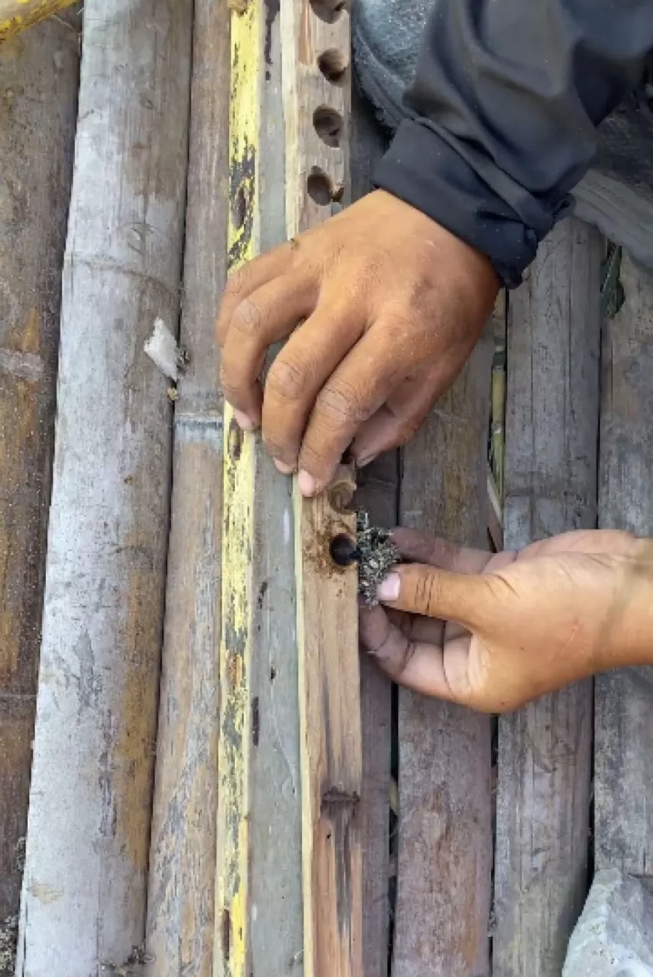 35天减28斤!25岁女孩获海岛求生赛季军:将报名张家界荒野求生赛-第2张图片- 35天减28斤!25岁女孩获海岛求生赛季军:将报名张家界荒野求生赛-第2张图片-