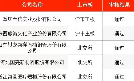 IPO周报｜本周2只新股申购，全钢巨胎行业龙头公司来了-第5张图片-