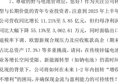 财说丨增收不增利困局难解，野马电池75倍市盈率下的贴牌之殇-第4张图片-