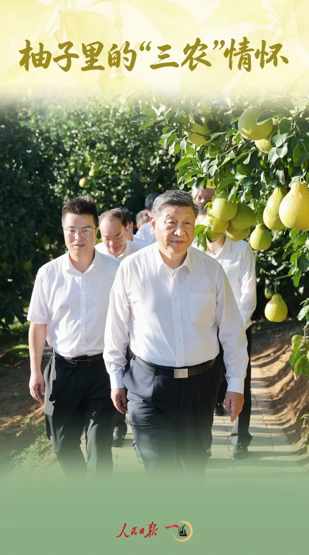 一见·柚子里的“三农”情怀-第1张图片-