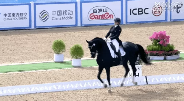 上海队斩获十五运会马术盛装舞步团体金牌-第3张图片-