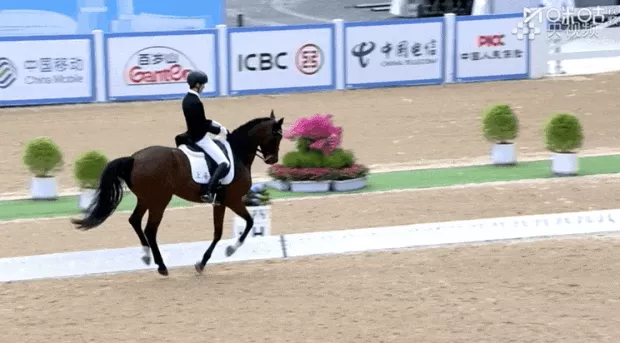 上海队斩获十五运会马术盛装舞步团体金牌-第4张图片-